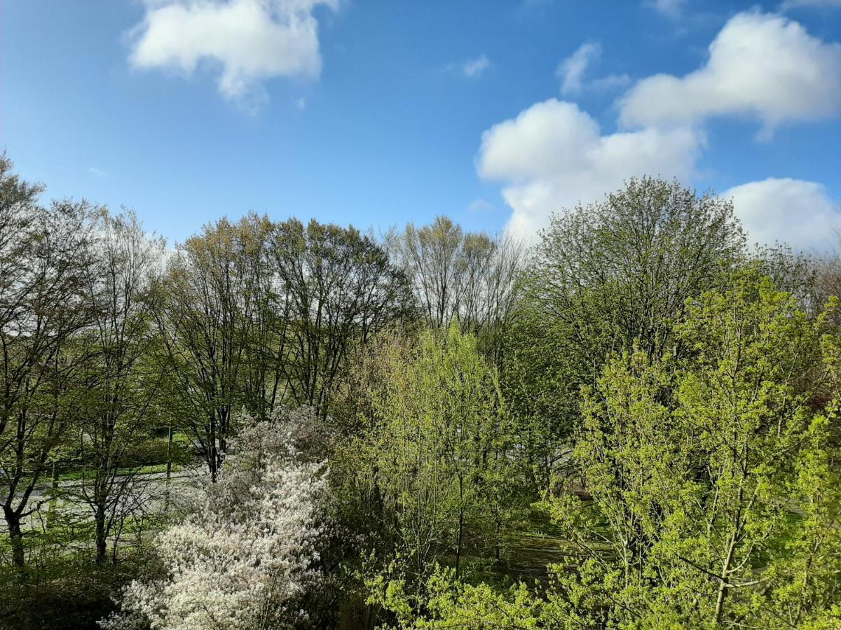 Homesweethome Free Parking Wifi Elevator Balcony Kassel Exterior foto