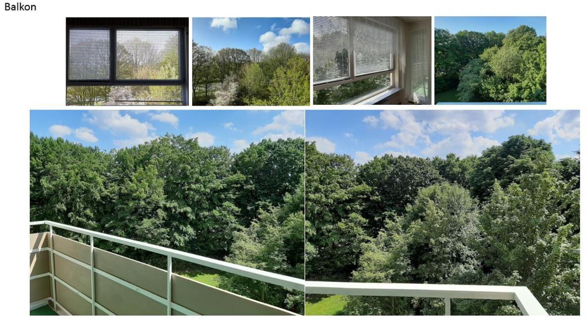 Homesweethome Free Parking Wifi Elevator Balcony Kassel Exterior foto