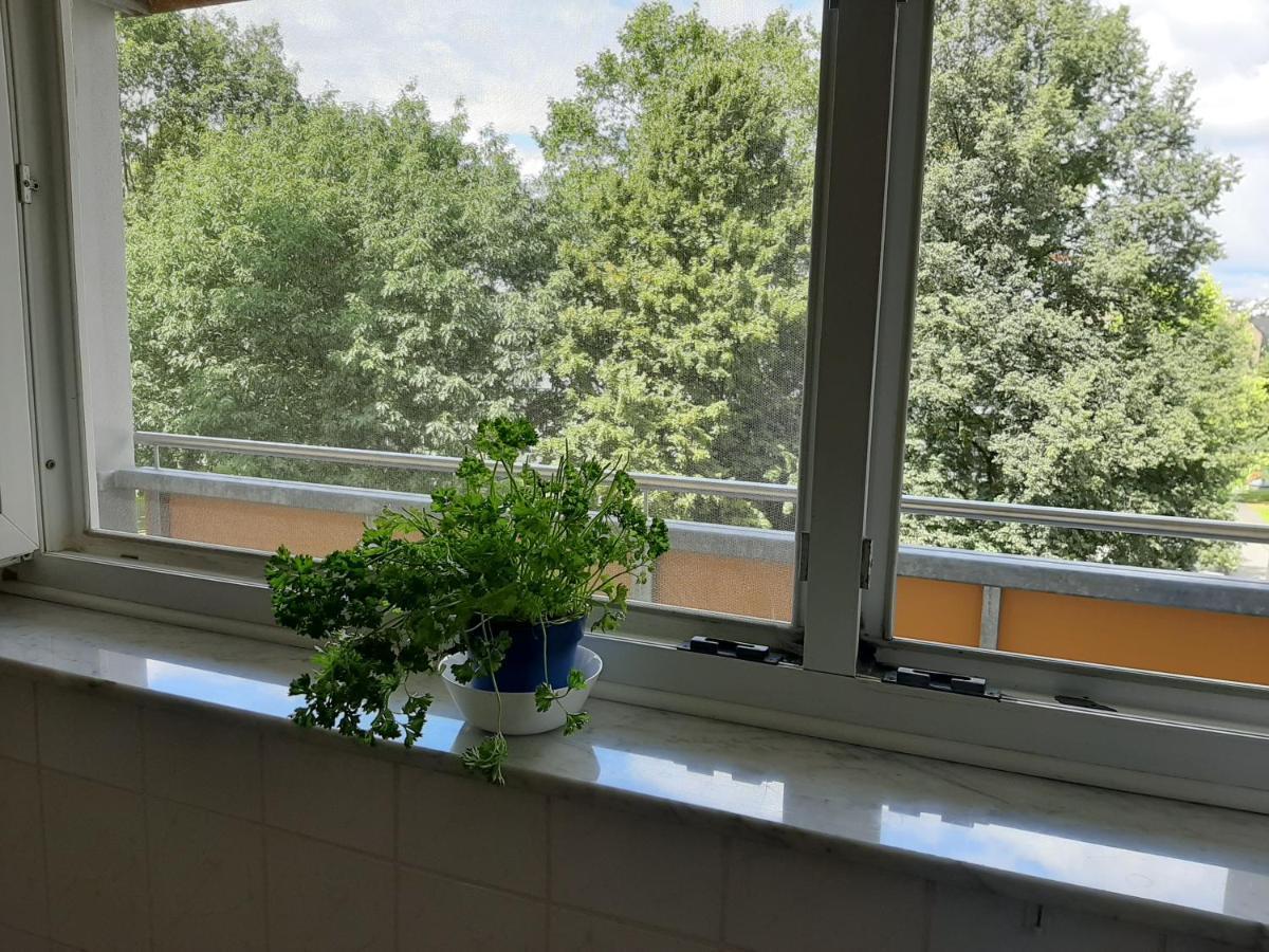 Homesweethome Free Parking Wifi Elevator Balcony Kassel Exterior foto