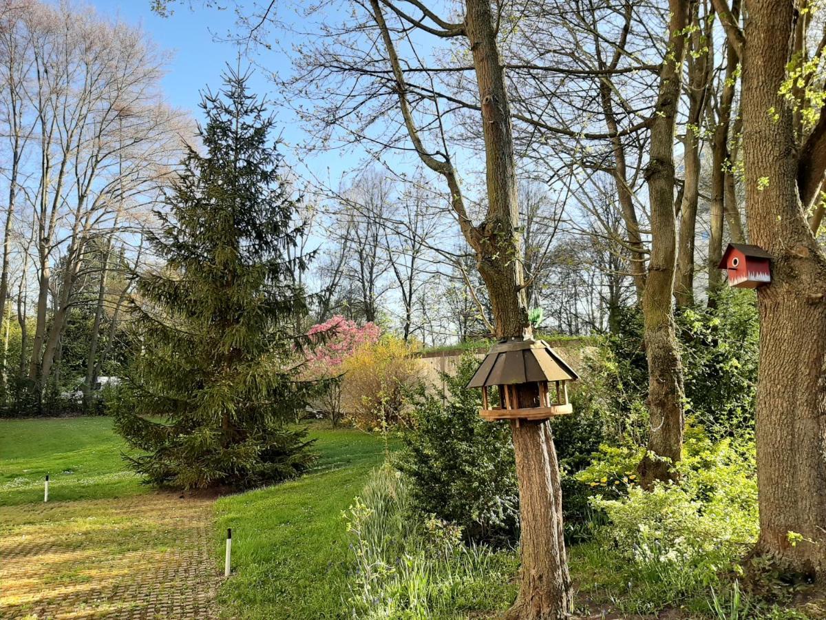 Homesweethome Free Parking Wifi Elevator Balcony Kassel Exterior foto